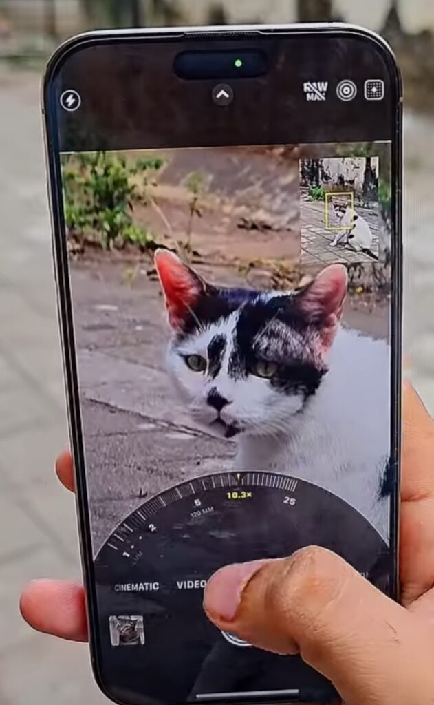 Apple iPhone 16 Pro Max performance and camera